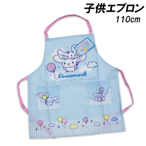  Vi[ Gv 110cm 44×40cm |GXe100 cinnamoroll TI Vi 2025N