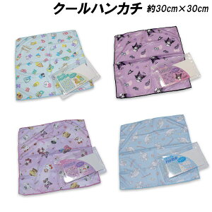 N[nJ` ⊴ 30cm×30cm |[`t nJ`^I xr[ LbY M΍ 2025N