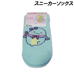 ݂R炵 Xj[J[\bNX AChƂ 15-20cm 19-24cm C \bNX LN^[ 2025NH~