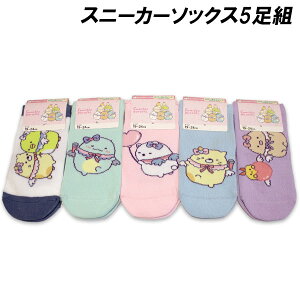  ݂R炵 Xj[J[\bNX5g 19-24cm C \bNX LN^[ 2025NH~