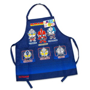  Eg}IK Gv 110cm 44×40cm |GXe100 Egq[[Y ǂGv 2025-2026N