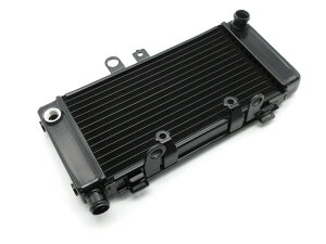 z_݊ WG[^[ WG^[  Vi z[lbg250 HORNET MC31