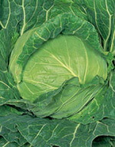 Lxcq TJ^̃^l ؂̎ n201EX 2000