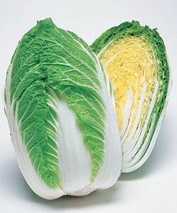 ؎q ^LCc ڂ85  cH~ǂ蔒