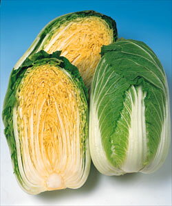 ؎q ^LCc 85  cH~ǂ蔒