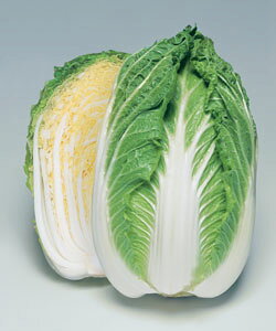 ؎q ^LCc 90  cH~ǂ蔒