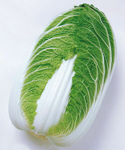 ؎q ^LCc   N-~ǂ蔒
