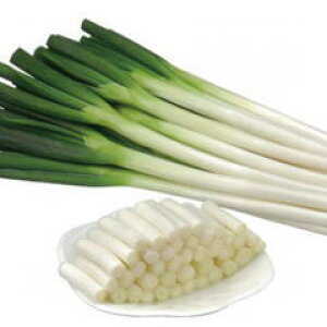 lMq lA \ԁiイ͂΂j 2dl