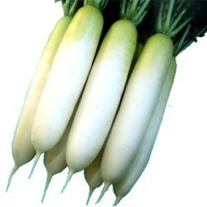 卪q nӔ_ YRH 