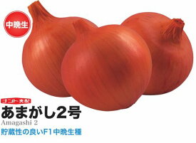 タマネギ種子 ナント種苗 あまがし2号 小袋