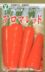 人参種子 トーホク アロマレッド 野菜の種 小袋