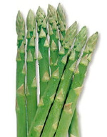 アスパラガス種子 野菜の種 サカタのタネ ウェルカム　小袋