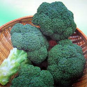 ubR[q@nӔ_@m[Xx@R[gq5000