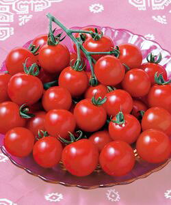 ~jg}gq ^LCc CFRR 1000