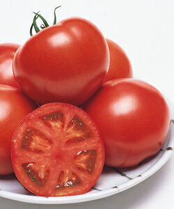 g}gq ^LCc CFY[N 1000