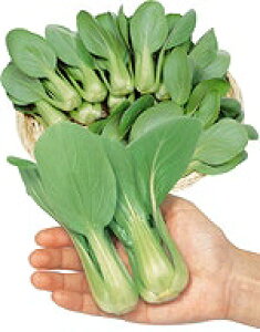 `QTCq TJ^̃^l ~j`QTC VIpI ؂̎ 