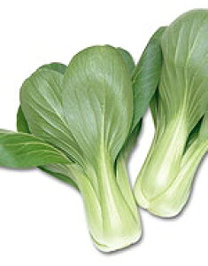 `QTCq TJ^̃^l (ZCeC) 