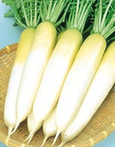 卪q TJ^̃^l ~ 卪 20ml 800