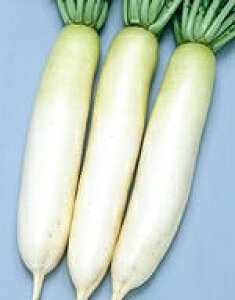 卪q TJ^̃^l Ă̂卪 2dl