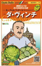 イタリア野菜種子 トキタ種苗 カーヴォルフィオーレ ダ・ヴィンチ 小袋