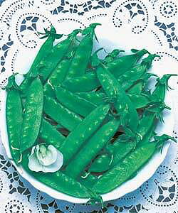 LkTGhEq ^LCc O\ iԁE邠j 1dl