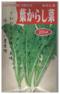 炵؎q nӔ_ t炵 20ml