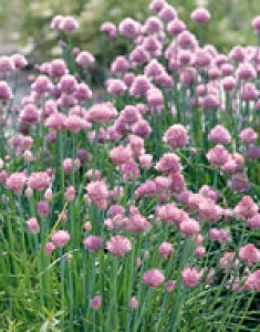 n[u  n[uq TJ^̃^l `Cu 