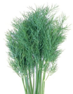 n[u  n[uq TJ^̃^l fB 