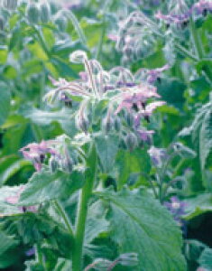 n[u  n[uq TJ^̃^l {W 