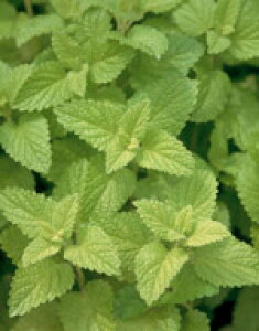 n[u  n[uq TJ^̃^l o[ 