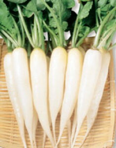 卪q TJ^̃^l Ꮼ ͂卪 