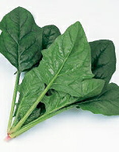 ق񑐎q TJ^̃^l NmX @@ M3