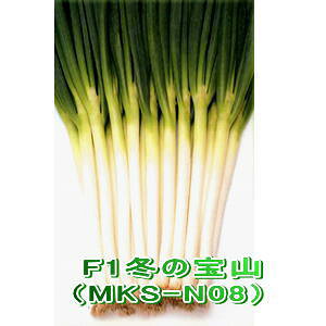 ˂q B݂ ~̕R lM ybg6000