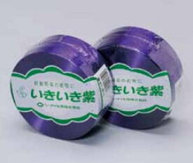 野菜結束用スズランテープ いきいき紫