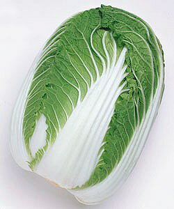 ؎q ^LCc  20ml N-~ǂ蔒