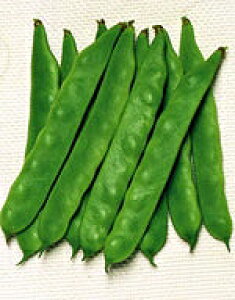 邠CQq TJ^̃^l 邠Wr[m 1dl