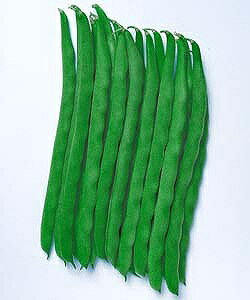 邠CQq ^LCc P^bL[101 1dl