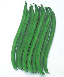 ȂCQq ^LCc ݂ǂ2@1L