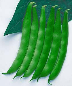 ȂCQq ^LCc ȂbR@1L