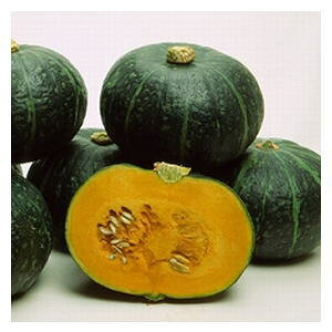 ڂq@B݂ǁ@@500