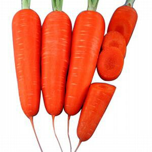 ɂ񂶂q@nӔ_@ׂɂ5@R[g1