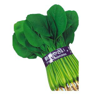 R}ciq@{_юЁ@]˂̏@1L