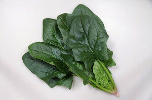 ق񑐎q@JlRc@nCTsA@M3