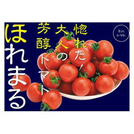 ミニトマト種子　渡辺農事　ほれまる　100粒