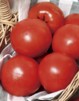 単為結果性で食味のよい 税込 促成栽培向け品種 トマト種子 サカタのタネ ハウスパルト 無料 プライマックス種子 1000粒