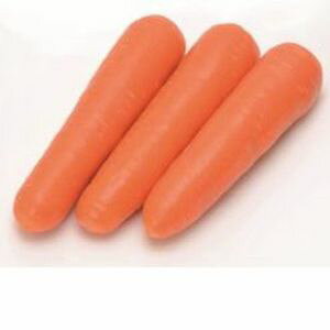 ɂ񂶂q@B݂ǁ@Jg[k@ybgq1