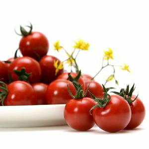 ~jg}gq@B݂ǁ@NC[@100