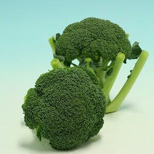 ubR[q@B݂ǁ@Xs[hh[052@ybgq5000