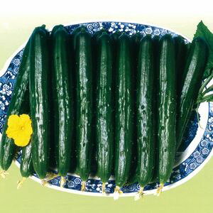 イq@vČ琬@Xe[^X3@350