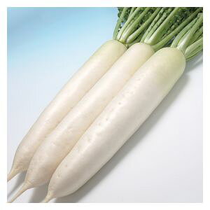 卪q@B݂ǁ@L_iƂق܂j@ybg5000